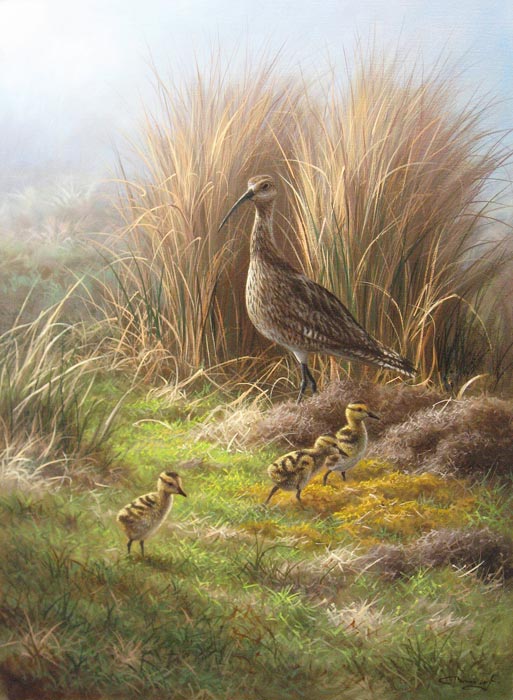 Wildlife painter Ron Meilof
Born on January 23rd 1953, even as a child, Ron Meilof was introduced to 
painting technique by his grandfather, in whose studio he spent a lot of time.
Soon it turned out that he was very interested in wildlife and therefore 
frecuently accompanied his grandfather on his walks through nature.
Subsequently he improved in skills like brushing technique and colour mixing. 
He was obsessed by painting.
In 1975 his great love for nature and country life made him decide to move to 
the province of Drenthe, in the north east of Holland. Inspired by the 
surrounding country-side, it's animal inhabitants. He painted quality material 
admired by the public.At a later stage he became more and more involved in 
wildlife, which led him to countries in Africa like Kenia and Tanzania to study 
and photograph the animals.
For, besides painting, photography is great hobby of his. Ron Meilof's work is 
exhibited in Holland and many other countries.