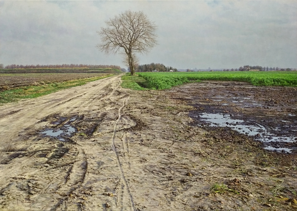 A. Prodan, landschap in Drenthe, afmeting 50x70cm doekmaat