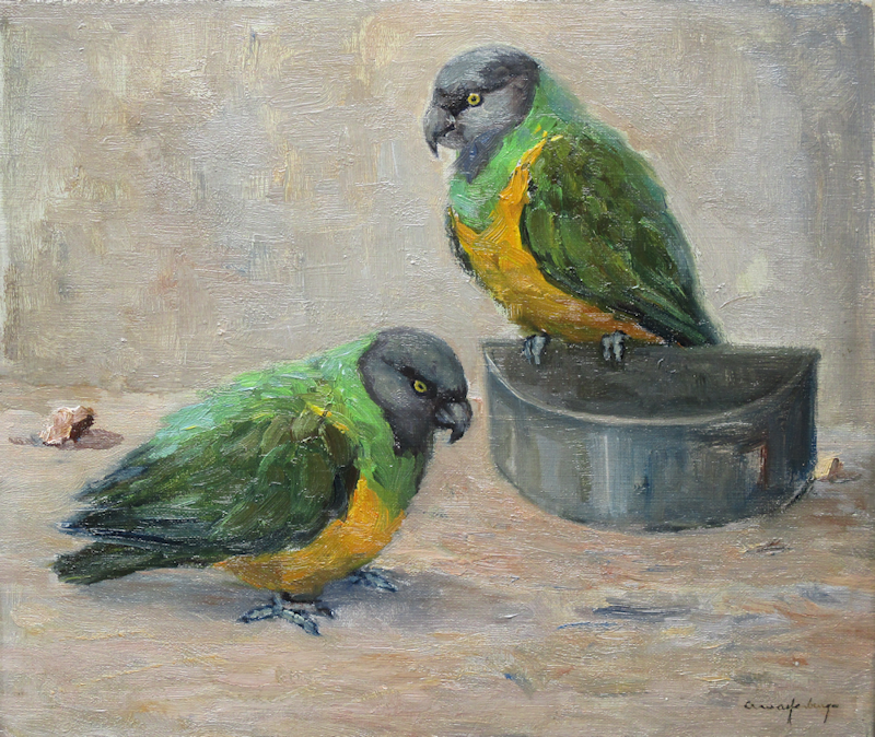 Arie Wassenburg, twee jonge papagaaien, olieverf op linnen, afmeting 25x30cm doekmaat