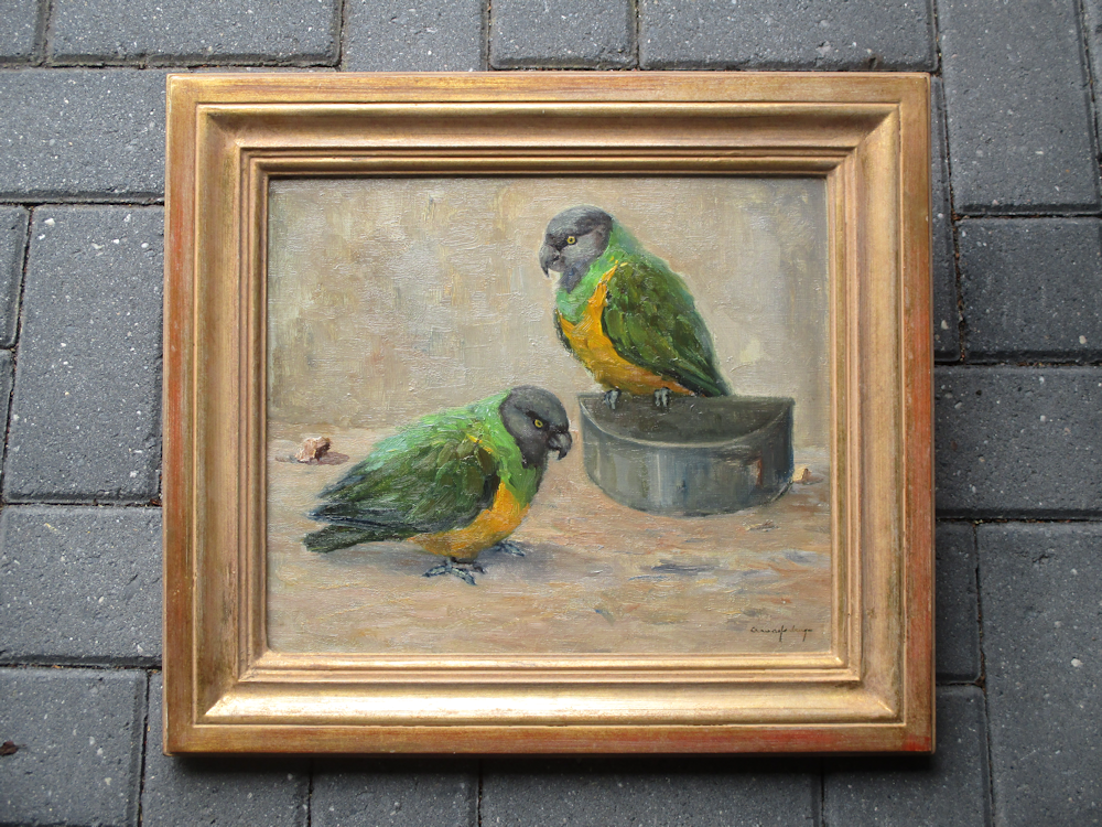 Arie Wassenburg, olieverf op linnen, twee jonge papagaaien, afmeting incl. lijst 39x44cm