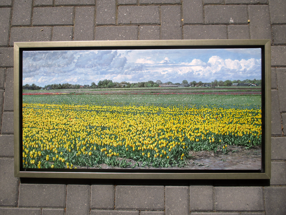 Bloembollenveld in Drenthe, olieverf op linnen, afmeting 50x100cm, afmeting 56x106cm incl. lijst