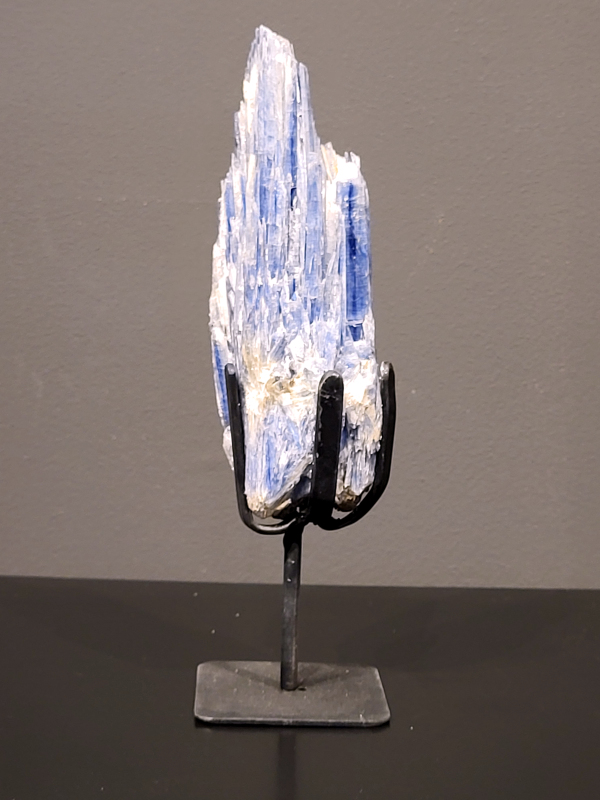 Blauwe Kyaniet op standaard 622 gram, 25cm hg., 38,- euro
Beschrijving, Kyaniet.

Kyaniet, ook wel distheen genoemd, is een mineraal dat zijn naam dankt aan het Griekse woord "kyanos", wat "blauw" betekent. Het komt echter voor in verschillende kleuren, waaronder blauw, grijs, zwart, wit en oranje. Kyaniet staat bekend om zijn gelaagde structuur en wordt vaak gevonden als onderdeel van andere gesteenten. 
Betekenis en eigenschappen:
Naam: Afgeleid van het Griekse woord "kyanos" (blauw). 
Kleuren: Blauw, grijs, zwart, wit, oranje, en soms zelfs groen. 
Structuur: Gelaagd. 
Spirituele betekenis: Vaak beschouwd als een steen van verbinding, harmonie en afstemming. 
Werking:
Brengt rust en helderheid in het hoofd. Bevordert meditatie en helpt bij het loslaten van negatieve patronen. 
Versterkt intuïtie en communicatie (vooral bij blauwe kyaniet). 
Kan helpen bij het herstellen van emotionele balans. 
Aardend en brengt chakra's in evenwicht. 
Fysieke werking: Kan helpen bij het herstellen van energiekloven, bijvoorbeeld na botbreuken of operaties. 
Chakra's: In verbinding met het keelchakra en het voorhoofdchakra. 
Sterrenbeeld: Kyaniet heeft geen specifiek sterrenbeeld. 
Herkomst en geschiedenis:
Kyaniet werd al in de oudheid gebruikt, waarbij blauwe stenen, inclusief kyaniet, werden gezien als beschermende amuletten voor zeelieden. 
De naam "distheen" verwijst naar de twee verschillende hardheden van het mineraal in de lengte en breedte. 
Kyaniet wordt gevonden in verschillende delen van de wereld, waaronder India, Korea en Myanmar, maar ook in Nederland in zandafzettingen van grote rivieren. 
Verzorging:
Ruwe kyaniet kan broos zijn en is niet geschikt om te reinigen met water.
Geslepen kyaniet kan wel met water worden gereinigd.
Andere reinigingsmethoden zijn rook van witte salie of palo santo, of plaatsing op hematiet of amethist.
Opladen kan in maanlicht of op een bergkristal of seleniet.