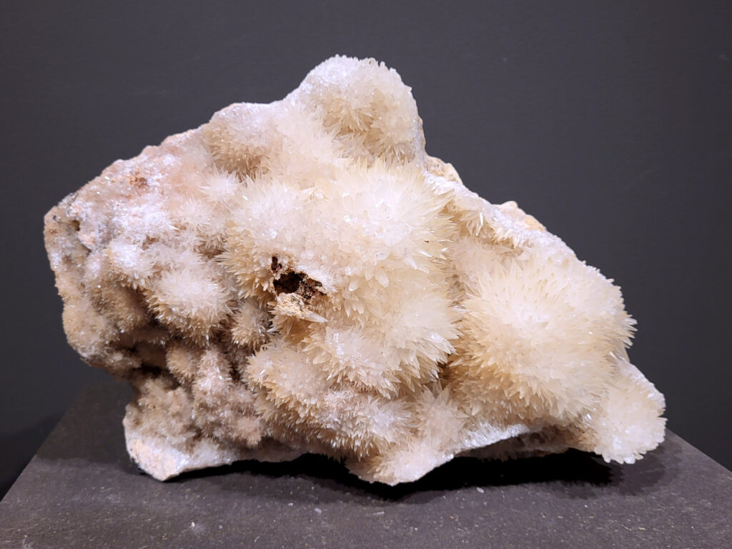 Calciet, 8,9 kg, 185,- euro, nr. 36