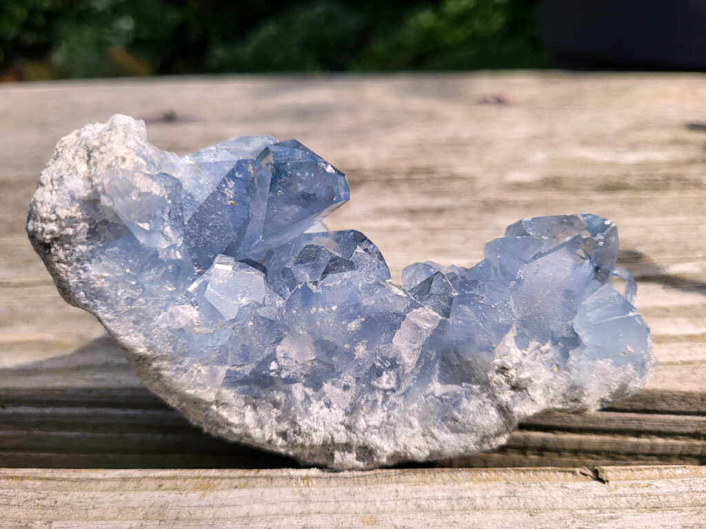 Celestien, 486 gram, 24,- euro, nr. 11
Celestien, ook wel bekend als celestiet of Coelestien, is een mineraal dat voornamelijk bestaat uit strontiumsulfaat. 
Eigenschappen en kenmerken:
Kleur: Celestien kan kleurloos, wit, grijs, blauw, groen, geel, oranje, roodachtig of bruin zijn, maar de meest voorkomende kleur is grijsblauw. 
Herkomst: Het mineraal wordt gevonden in graniet en pegmatiet, en ook gevormd bij het verdampen van zeewater. 
Spirituele betekenis en werking:
Celestien staat bekend om zijn kalmerende werking en wordt vaak gebruikt om stress, angst en nervositeit te verminderen. 
Spirituele ontwikkeling:
De steen bevordert spirituele groei, helderziendheid en telepathie. 
Fysieke werking:
Pijnstillend: Celestien kan kalmerend werken en pijn verminderen, inclusief menstruatiepijn. 
Helpt bij oog- en oorproblemen: De steen kan behulpzaam zijn bij kwalen aan ogen en oren. 
Geeft energie bij vermoeidheid: Celestien kan energie geven bij uitputting en vermoeidheid. 
Bevordert genezing: De steen zou kunnen helpen bij de genezing van botten, weefsels en organen. 
Verzorging:
Celestien is een gevoelige steen en kan beschadigen door water of zout.
                                           -  Kunstgalerie-Arnold -