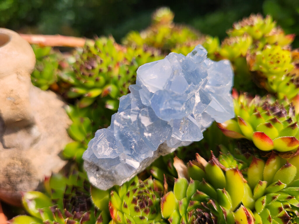 Celestien, 108 gram, 5,- euro, nr. 17
Celestien, ook wel bekend als celestiet of Coelestien, is een mineraal dat voornamelijk bestaat uit strontiumsulfaat. 
Eigenschappen en kenmerken:
Kleur: Celestien kan kleurloos, wit, grijs, blauw, groen, geel, oranje, roodachtig of bruin zijn, maar de meest voorkomende kleur is grijsblauw. 
Herkomst: Het mineraal wordt gevonden in graniet en pegmatiet, en ook gevormd bij het verdampen van zeewater. 
Spirituele betekenis en werking:
Celestien staat bekend om zijn kalmerende werking en wordt vaak gebruikt om stress, angst en nervositeit te verminderen. 
Spirituele ontwikkeling:
De steen bevordert spirituele groei, helderziendheid en telepathie. 
Fysieke werking:
Pijnstillend: Celestien kan kalmerend werken en pijn verminderen, inclusief menstruatiepijn. 
Helpt bij oog- en oorproblemen: De steen kan behulpzaam zijn bij kwalen aan ogen en oren. 
Geeft energie bij vermoeidheid: Celestien kan energie geven bij uitputting en vermoeidheid. 
Bevordert genezing: De steen zou kunnen helpen bij de genezing van botten, weefsels en organen. 
Verzorging:
Celestien is een gevoelige steen en kan beschadigen door water of zout.
                                           -  Kunstgalerie-Arnold -