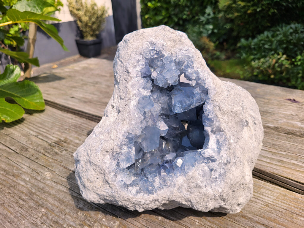 Celestien, 9,1 kg, 180,- euro, nr.22
Celestien, ook wel bekend als celestiet of Coelestien, is een mineraal dat voornamelijk bestaat uit strontiumsulfaat. 
Eigenschappen en kenmerken:
Kleur: Celestien kan kleurloos, wit, grijs, blauw, groen, geel, oranje, roodachtig of bruin zijn, maar de meest voorkomende kleur is grijsblauw. 
Herkomst: Het mineraal wordt gevonden in graniet en pegmatiet, en ook gevormd bij het verdampen van zeewater. 
Spirituele betekenis en werking:
Celestien staat bekend om zijn kalmerende werking en wordt vaak gebruikt om stress, angst en nervositeit te verminderen. 
Spirituele ontwikkeling:
De steen bevordert spirituele groei, helderziendheid en telepathie. 
Fysieke werking:
Pijnstillend: Celestien kan kalmerend werken en pijn verminderen, inclusief menstruatiepijn. 
Helpt bij oog- en oorproblemen: De steen kan behulpzaam zijn bij kwalen aan ogen en oren. 
Geeft energie bij vermoeidheid: Celestien kan energie geven bij uitputting en vermoeidheid. 
Bevordert genezing: De steen zou kunnen helpen bij de genezing van botten, weefsels en organen. 
Verzorging:
Celestien is een gevoelige steen en kan beschadigen door water of zout.
                                           -  Kunstgalerie-Arnold -