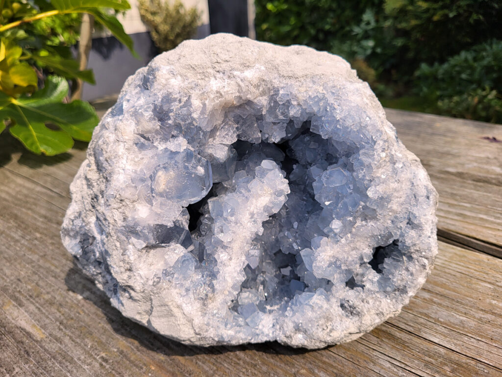 Celestien, 10,5 kg, 210,- euro, nr. 21
Celestien, ook wel bekend als celestiet of Coelestien, is een mineraal dat voornamelijk bestaat uit strontiumsulfaat. 
Eigenschappen en kenmerken:
Kleur: Celestien kan kleurloos, wit, grijs, blauw, groen, geel, oranje, roodachtig of bruin zijn, maar de meest voorkomende kleur is grijsblauw. 
Herkomst: Het mineraal wordt gevonden in graniet en pegmatiet, en ook gevormd bij het verdampen van zeewater. 
Spirituele betekenis en werking:
Celestien staat bekend om zijn kalmerende werking en wordt vaak gebruikt om stress, angst en nervositeit te verminderen. 
Spirituele ontwikkeling:
De steen bevordert spirituele groei, helderziendheid en telepathie. 
Fysieke werking:
Pijnstillend: Celestien kan kalmerend werken en pijn verminderen, inclusief menstruatiepijn. 
Helpt bij oog- en oorproblemen: De steen kan behulpzaam zijn bij kwalen aan ogen en oren. 
Geeft energie bij vermoeidheid: Celestien kan energie geven bij uitputting en vermoeidheid. 
Bevordert genezing: De steen zou kunnen helpen bij de genezing van botten, weefsels en organen. 
Verzorging:
Celestien is een gevoelige steen en kan beschadigen door water of zout.
                                           -  Kunstgalerie-Arnold -