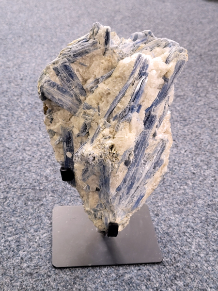 Kyaniet op standaard, 7,38 kg, 375,- euro, nr. 46
Beschrijving, Kyaniet.

Kyaniet, ook wel distheen genoemd, is een mineraal dat zijn naam dankt aan het Griekse woord "kyanos", wat "blauw" betekent. Het komt echter voor in verschillende kleuren, waaronder blauw, grijs, zwart, wit en oranje. Kyaniet staat bekend om zijn gelaagde structuur en wordt vaak gevonden als onderdeel van andere gesteenten. 
Betekenis en eigenschappen:
Naam: Afgeleid van het Griekse woord "kyanos" (blauw). 
Kleuren: Blauw, grijs, zwart, wit, oranje, en soms zelfs groen. 
Structuur: Gelaagd. 
Spirituele betekenis: Vaak beschouwd als een steen van verbinding, harmonie en afstemming. 
Werking:
Brengt rust en helderheid in het hoofd. Bevordert meditatie en helpt bij het loslaten van negatieve patronen. 
Versterkt intuïtie en communicatie (vooral bij blauwe kyaniet). 
Kan helpen bij het herstellen van emotionele balans. 
Aardend en brengt chakra's in evenwicht. 
Fysieke werking: Kan helpen bij het herstellen van energiekloven, bijvoorbeeld na botbreuken of operaties. 
Chakra's: In verbinding met het keelchakra en het voorhoofdchakra. 
Sterrenbeeld: Kyaniet heeft geen specifiek sterrenbeeld. 
Herkomst en geschiedenis:
Kyaniet werd al in de oudheid gebruikt, waarbij blauwe stenen, inclusief kyaniet, werden gezien als beschermende amuletten voor zeelieden. 
De naam "distheen" verwijst naar de twee verschillende hardheden van het mineraal in de lengte en breedte. 
Kyaniet wordt gevonden in verschillende delen van de wereld, waaronder India, Korea en Myanmar, maar ook in Nederland in zandafzettingen van grote rivieren. 
Verzorging:
Ruwe kyaniet kan broos zijn en is niet geschikt om te reinigen met water.
Geslepen kyaniet kan wel met water worden gereinigd.
Andere reinigingsmethoden zijn rook van witte salie of palo santo, of plaatsing op hematiet of amethist.
Opladen kan in maanlicht of op een bergkristal of seleniet. 