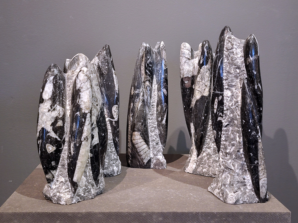 Orthoceras, hoogte gem. 24cm, per stuk 38,50 euro, nr. 1
Orthoceras, een gefossiliseerde inktvis, wordt vaak geassocieerd met aardende en stabiliserende eigenschappen. Spiritueel gezien wordt het geassocieerd met het versterken van de wortelchakra, het verminderen van angst en onzekerheid, en het bevorderen van mentale helderheid. Fysiek zou het helpen bij botgroei, bloedsomloop en zenuwklachten. 

Spirituele werking:
Aarding en stabiliteit:
Orthoceras wordt gezien als een steen die je stevig met de aarde verbindt, waardoor je je meer gegrond en stabiel voelt. 
Mentale helderheid:
Orthoceras kan je helpen helderder te denken, je concentratie te verbeteren en je focus te vergroten. 
Verleden en transformatie:
Het wordt geassocieerd met het verwerken van emotionele blokkades en het begrijpen van oude wijsheid. 
Bescherming:
Orthoceras wordt gezien als een beschermende steen die je kan helpen negatieve energieën af te weren en je te bevrijden van karmische aanhechtingen 
Botten: Orthoceras zou een positieve invloed hebben op de botten, met name op de groei en tegen scheefgroei. 
Bloedsomloop: Het zou de bloedsomloop en doorbloeding kunnen bevorderen.
Zenuwstelsel: Orthoceras zou kunnen helpen bij zenuwklachten, buikpijn en hoofdpijn.
                           -Kunstgalerie-Arnold-