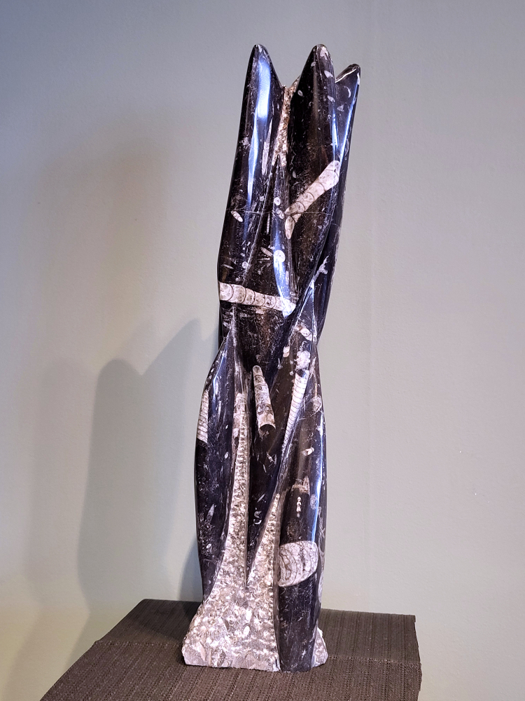 Orthoceras, hoogte 50cm, 6,3 kg, 95,- euro, nr. 10