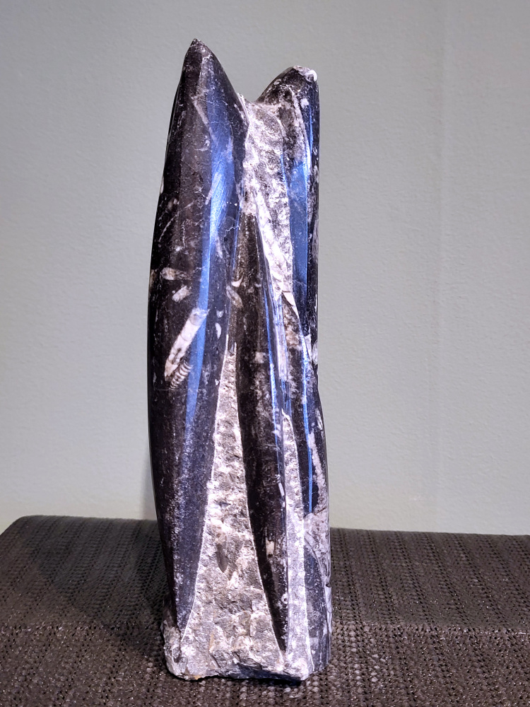 Orthoceras, 22cm hoog, 1,3 kg, 35,- euro, nr. 8
Orthoceras, een gefossiliseerde inktvis, wordt vaak geassocieerd met aardende en stabiliserende eigenschappen. Spiritueel gezien wordt het geassocieerd met het versterken van de wortelchakra, het verminderen van angst en onzekerheid, en het bevorderen van mentale helderheid. Fysiek zou het helpen bij botgroei, bloedsomloop en zenuwklachten. 

Spirituele werking:
Aarding en stabiliteit:
Orthoceras wordt gezien als een steen die je stevig met de aarde verbindt, waardoor je je meer gegrond en stabiel voelt. 
Mentale helderheid:
Orthoceras kan je helpen helderder te denken, je concentratie te verbeteren en je focus te vergroten. 
Verleden en transformatie:
Het wordt geassocieerd met het verwerken van emotionele blokkades en het begrijpen van oude wijsheid. 
Bescherming:
Orthoceras wordt gezien als een beschermende steen die je kan helpen negatieve energieën af te weren en je te bevrijden van karmische aanhechtingen 
Botten: Orthoceras zou een positieve invloed hebben op de botten, met name op de groei en tegen scheefgroei. 
Bloedsomloop: Het zou de bloedsomloop en doorbloeding kunnen bevorderen.
Zenuwstelsel: Orthoceras zou kunnen helpen bij zenuwklachten, buikpijn en hoofdpijn.
                                        -  Kunstgalerie-Arnold  -