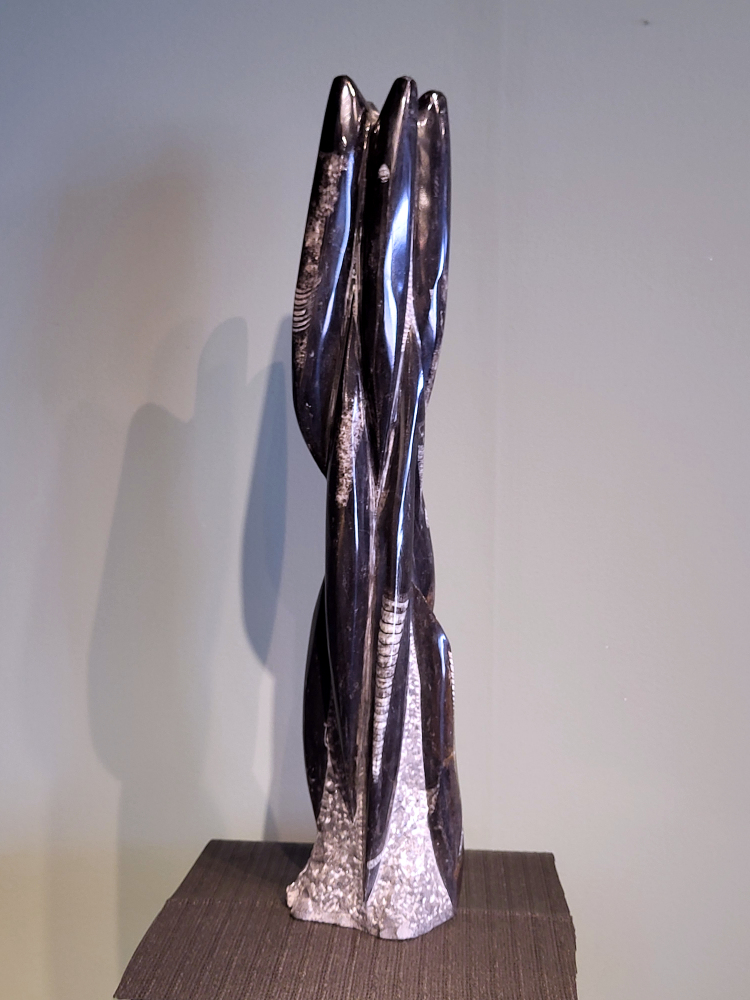 Orthoceras, hoogte 55 cm, 6,2 kg, 95,- euro, nr. 4
Orthoceras, een gefossiliseerde inktvis, wordt vaak geassocieerd met aardende en stabiliserende eigenschappen. Spiritueel gezien wordt het geassocieerd met het versterken van de wortelchakra, het verminderen van angst en onzekerheid, en het bevorderen van mentale helderheid. Fysiek zou het helpen bij botgroei, bloedsomloop en zenuwklachten. 

Spirituele werking:
Aarding en stabiliteit:
Orthoceras wordt gezien als een steen die je stevig met de aarde verbindt, waardoor je je meer gegrond en stabiel voelt. 
Mentale helderheid:
Orthoceras kan je helpen helderder te denken, je concentratie te verbeteren en je focus te vergroten. 
Verleden en transformatie:
Het wordt geassocieerd met het verwerken van emotionele blokkades en het begrijpen van oude wijsheid. 
Bescherming:
Orthoceras wordt gezien als een beschermende steen die je kan helpen negatieve energieën af te weren en je te bevrijden van karmische aanhechtingen 
Botten: Orthoceras zou een positieve invloed hebben op de botten, met name op de groei en tegen scheefgroei. 
Bloedsomloop: Het zou de bloedsomloop en doorbloeding kunnen bevorderen.
Zenuwstelsel: Orthoceras zou kunnen helpen bij zenuwklachten, buikpijn en hoofdpijn.
                 -Kunstgalerie-Arnold-