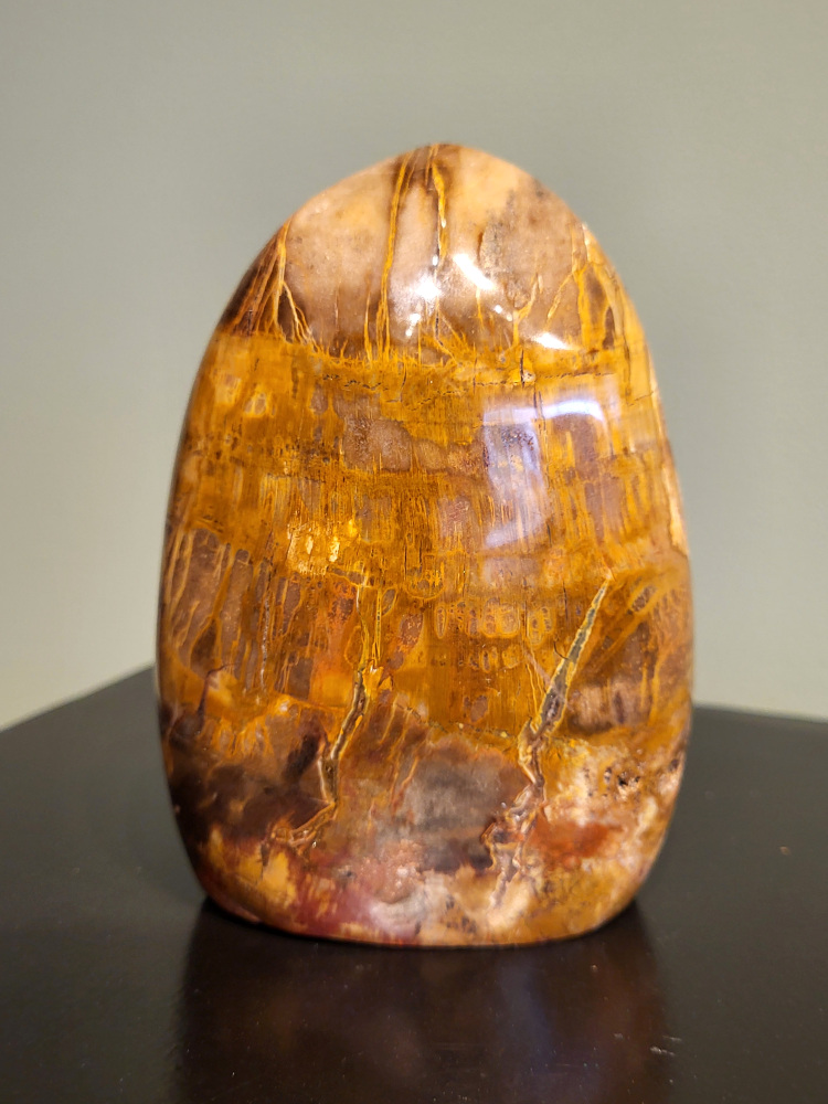 Versteend hout, 0.9kg, 12cm hoog, 28,- euro, nr. 92
Versteend hout is miljoenen jaren oud!
Chakra: wortelchakra (Muladhara)
Waar komt versteend hout vandaan en hoe ontstaan het?
Versteend hout, of gefossiliseerd hout, ontstaat wanneer een boom na zijn overlijden bedekt wordt door sediment, waardoor het langzaam omgezet wordt in steen. In plaats van te vergaan, wordt het hout geleidelijk vervangen door mineralen zoals silica. Dit proces behoudt de originele structuur van het hout, inclusief details zoals jaarringen en nerven. Het kan miljoenen jaren duren, aangezien het water dat rijk is aan mineralen de houtcellen binnendringt, terwijl zuurstof geen rol meer speelt in de afbraak.
De kleur van versteend hout is precies zoals het hout er oorspronkelijk uit zag.
Spirituele werking van versteend hout:
> stabiliteit, rust en veiligheid
Fysiek zou het positieve effecten hebben op het skelet, de botten en de rug, en kan het ondersteuning bieden bij aandoeningen zoals osteoporose en ADHD.
- Kunstgalerie Arnold -