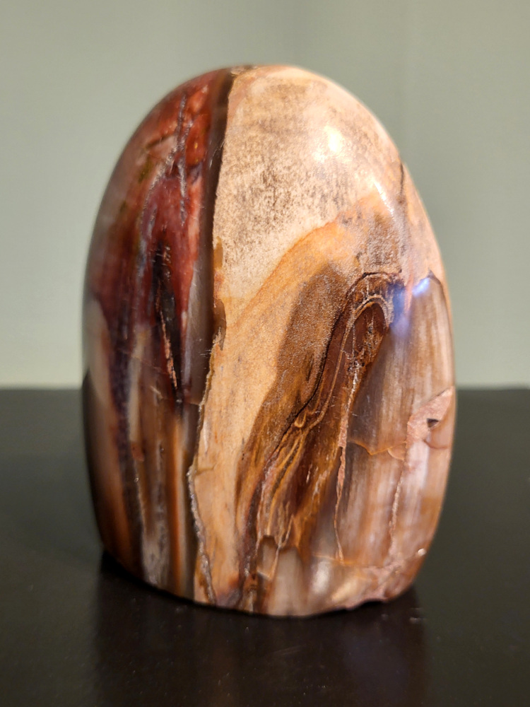 Versteend hout, 0,6kg, 10cm hoog, 18,- euro, nr. 93
Versteend hout is miljoenen jaren oud!
Chakra: wortelchakra (Muladhara)
Waar komt versteend hout vandaan en hoe ontstaan het?
Versteend hout, of gefossiliseerd hout, ontstaat wanneer een boom na zijn overlijden bedekt wordt door sediment, waardoor het langzaam omgezet wordt in steen. In plaats van te vergaan, wordt het hout geleidelijk vervangen door mineralen zoals silica. Dit proces behoudt de originele structuur van het hout, inclusief details zoals jaarringen en nerven. Het kan miljoenen jaren duren, aangezien het water dat rijk is aan mineralen de houtcellen binnendringt, terwijl zuurstof geen rol meer speelt in de afbraak.
De kleur van versteend hout is precies zoals het hout er oorspronkelijk uit zag.
Spirituele werking van versteend hout:
> stabiliteit, rust en veiligheid
Fysiek zou het positieve effecten hebben op het skelet, de botten en de rug, en kan het ondersteuning bieden bij aandoeningen zoals osteoporose en ADHD.
- Kunstgalerie Arnold -