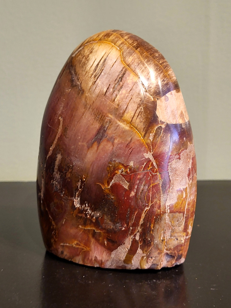 Versteend hout, 0,7 kg, 11cm hoog, 20,- euro, nr 50
Versteend hout is miljoenen jaren oud!
Chakra: wortelchakra (Muladhara)
Waar komt versteend hout vandaan en hoe ontstaan het?
Versteend hout, of gefossiliseerd hout, ontstaat wanneer een boom na zijn overlijden bedekt wordt door sediment, waardoor het langzaam omgezet wordt in steen. In plaats van te vergaan, wordt het hout geleidelijk vervangen door mineralen zoals silica. Dit proces behoudt de originele structuur van het hout, inclusief details zoals jaarringen en nerven. Het kan miljoenen jaren duren, aangezien het water dat rijk is aan mineralen de houtcellen binnendringt, terwijl zuurstof geen rol meer speelt in de afbraak.
De kleur van versteend hout is precies zoals het hout er oorspronkelijk uit zag.
Spirituele werking van versteend hout:
> stabiliteit, rust en veiligheid
Fysiek zou het positieve effecten hebben op het skelet, de botten en de rug, en kan het ondersteuning bieden bij aandoeningen zoals osteoporose en ADHD.
- Kunstgalerie Arnold -