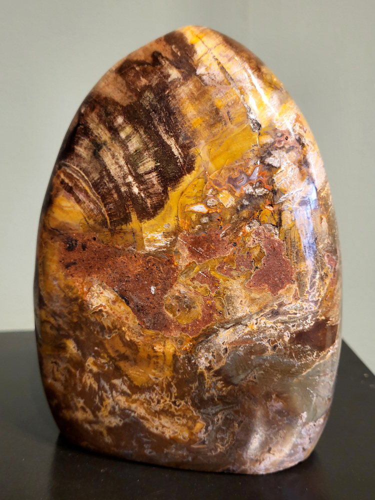 Versteend hout, 1,7kg, 16cm hoog, 52,- euro, nr. 89
Versteend hout is miljoenen jaren oud!
Chakra: wortelchakra (Muladhara)
Waar komt versteend hout vandaan en hoe ontstaan het?
Versteend hout, of gefossiliseerd hout, ontstaat wanneer een boom na zijn overlijden bedekt wordt door sediment, waardoor het langzaam omgezet wordt in steen. In plaats van te vergaan, wordt het hout geleidelijk vervangen door mineralen zoals silica. Dit proces behoudt de originele structuur van het hout, inclusief details zoals jaarringen en nerven. Het kan miljoenen jaren duren, aangezien het water dat rijk is aan mineralen de houtcellen binnendringt, terwijl zuurstof geen rol meer speelt in de afbraak.
De kleur van versteend hout is precies zoals het hout er oorspronkelijk uit zag.
Spirituele werking van versteend hout:
> stabiliteit, rust en veiligheid
Fysiek zou het positieve effecten hebben op het skelet, de botten en de rug, en kan het ondersteuning bieden bij aandoeningen zoals osteoporose en ADHD.
- Kunstgalerie Arnold -