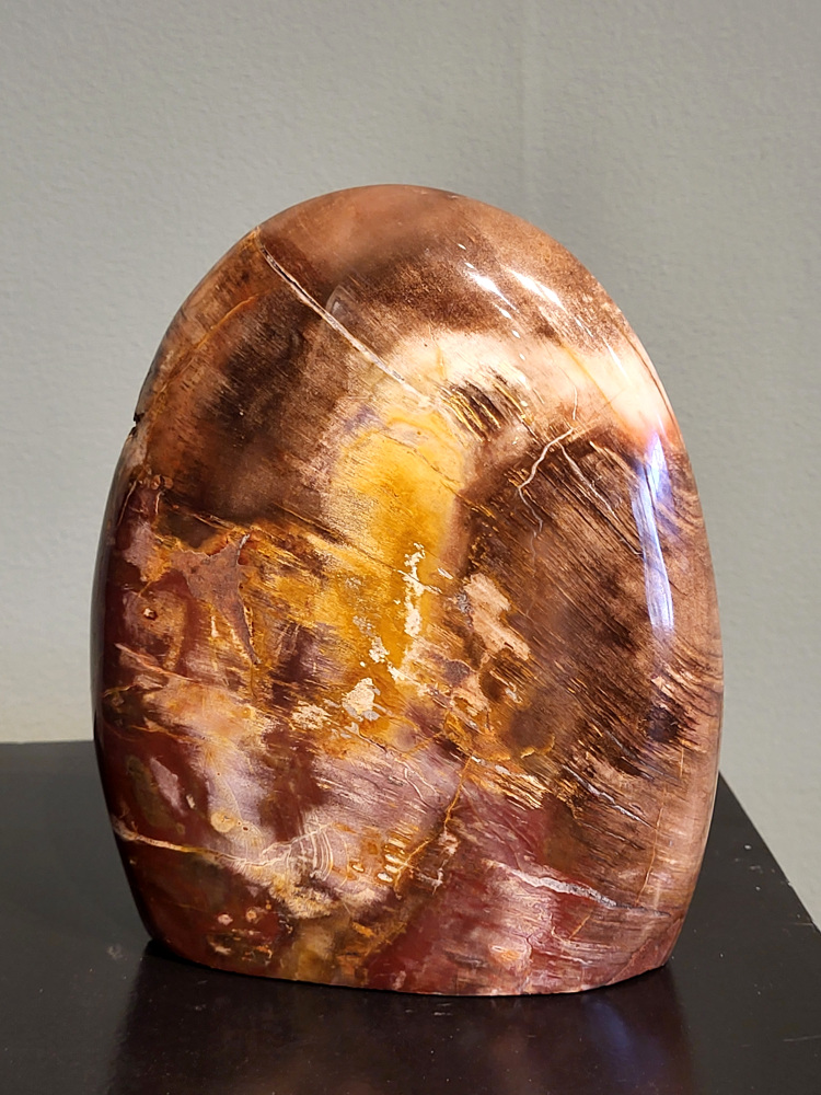 Versteend hout, 1,6 kg, 15cm hoog, 50,- euro, nr. 76
Versteend hout is miljoenen jaren oud!
Chakra: wortelchakra (Muladhara)
Waar komt versteend hout vandaan en hoe ontstaan het?
Versteend hout, of gefossiliseerd hout, ontstaat wanneer een boom na zijn overlijden bedekt wordt door sediment, waardoor het langzaam omgezet wordt in steen. In plaats van te vergaan, wordt het hout geleidelijk vervangen door mineralen zoals silica. Dit proces behoudt de originele structuur van het hout, inclusief details zoals jaarringen en nerven. Het kan miljoenen jaren duren, aangezien het water dat rijk is aan mineralen de houtcellen binnendringt, terwijl zuurstof geen rol meer speelt in de afbraak.
De kleur van versteend hout is precies zoals het hout er oorspronkelijk uit zag.
Spirituele werking van versteend hout:
> stabiliteit, rust en veiligheid
Fysiek zou het positieve effecten hebben op het skelet, de botten en de rug, en kan het ondersteuning bieden bij aandoeningen zoals osteoporose en ADHD.
- Kunstgalerie Arnold -