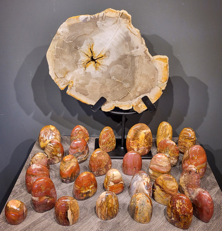 Versteend hout, diverse soorten, scherp geprijsd, Kunstgalerie Arnold
Versteend hout is miljoenen jaren oud!
Chakra: wortelchakra (Muladhara)
Waar komt versteend hout vandaan en hoe ontstaan het?
Versteend hout, of gefossiliseerd hout, ontstaat wanneer een boom na zijn overlijden bedekt wordt door sediment, waardoor het langzaam omgezet wordt in steen. In plaats van te vergaan, wordt het hout geleidelijk vervangen door mineralen zoals silica. Dit proces behoudt de originele structuur van het hout, inclusief details zoals jaarringen en nerven. Het kan miljoenen jaren duren, aangezien het water dat rijk is aan mineralen de houtcellen binnendringt, terwijl zuurstof geen rol meer speelt in de afbraak.
De kleur van versteend hout is precies zoals het hout er oorspronkelijk uit zag.
Spirituele werking van versteend hout:
> stabiliteit, rust en veiligheid
Fysiek zou het positieve effecten hebben op het skelet, de botten en de rug, en kan het ondersteuning bieden bij aandoeningen zoals osteoporose en ADHD.
- Kunstgalerie Arnold -