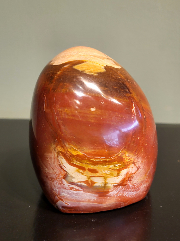 Versteend hout, 0,5kg, 7cm hoog, 14,- euro, nr. 88
Versteend hout is miljoenen jaren oud!
Chakra: wortelchakra (Muladhara)
Waar komt versteend hout vandaan en hoe ontstaan het?
Versteend hout, of gefossiliseerd hout, ontstaat wanneer een boom na zijn overlijden bedekt wordt door sediment, waardoor het langzaam omgezet wordt in steen. In plaats van te vergaan, wordt het hout geleidelijk vervangen door mineralen zoals silica. Dit proces behoudt de originele structuur van het hout, inclusief details zoals jaarringen en nerven. Het kan miljoenen jaren duren, aangezien het water dat rijk is aan mineralen de houtcellen binnendringt, terwijl zuurstof geen rol meer speelt in de afbraak.
De kleur van versteend hout is precies zoals het hout er oorspronkelijk uit zag.
Spirituele werking van versteend hout:
> stabiliteit, rust en veiligheid
Fysiek zou het positieve effecten hebben op het skelet, de botten en de rug, en kan het ondersteuning bieden bij aandoeningen zoals osteoporose en ADHD.
- Kunstgalerie Arnold -