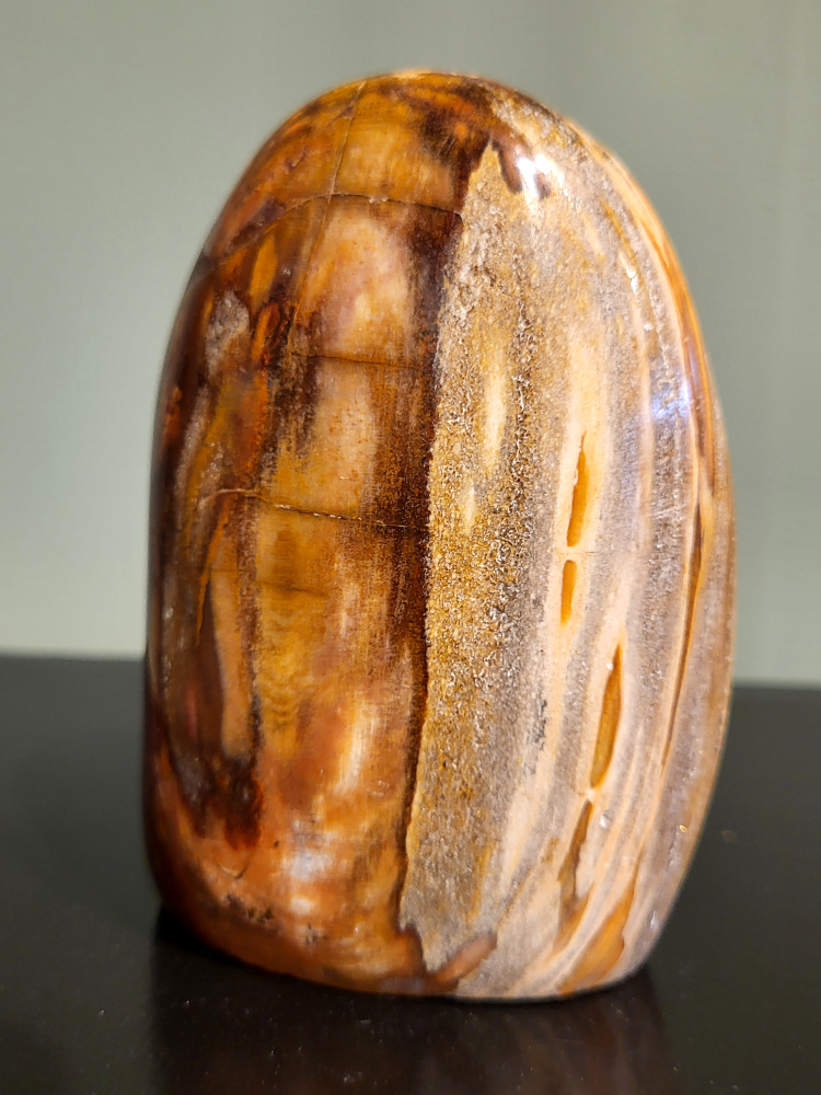 Versteend hout, 0,7kg, 11cm hoog, 20,- euro, nr. 87
Versteend hout is miljoenen jaren oud!
Chakra: wortelchakra (Muladhara)
Waar komt versteend hout vandaan en hoe ontstaan het?
Versteend hout, of gefossiliseerd hout, ontstaat wanneer een boom na zijn overlijden bedekt wordt door sediment, waardoor het langzaam omgezet wordt in steen. In plaats van te vergaan, wordt het hout geleidelijk vervangen door mineralen zoals silica. Dit proces behoudt de originele structuur van het hout, inclusief details zoals jaarringen en nerven. Het kan miljoenen jaren duren, aangezien het water dat rijk is aan mineralen de houtcellen binnendringt, terwijl zuurstof geen rol meer speelt in de afbraak.
De kleur van versteend hout is precies zoals het hout er oorspronkelijk uit zag.
Spirituele werking van versteend hout:
> stabiliteit, rust en veiligheid
Fysiek zou het positieve effecten hebben op het skelet, de botten en de rug, en kan het ondersteuning bieden bij aandoeningen zoals osteoporose en ADHD.
- Kunstgalerie Arnold -