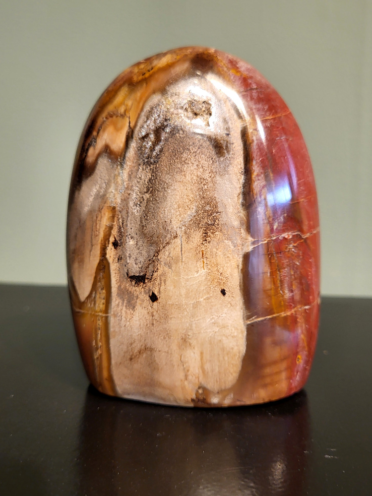 Versteend hout, 0,7kg, 11cm hoog, 21,- euro, nr. 85
Versteend hout is miljoenen jaren oud!
Chakra: wortelchakra (Muladhara)
Waar komt versteend hout vandaan en hoe ontstaan het?
Versteend hout, of gefossiliseerd hout, ontstaat wanneer een boom na zijn overlijden bedekt wordt door sediment, waardoor het langzaam omgezet wordt in steen. In plaats van te vergaan, wordt het hout geleidelijk vervangen door mineralen zoals silica. Dit proces behoudt de originele structuur van het hout, inclusief details zoals jaarringen en nerven. Het kan miljoenen jaren duren, aangezien het water dat rijk is aan mineralen de houtcellen binnendringt, terwijl zuurstof geen rol meer speelt in de afbraak.
De kleur van versteend hout is precies zoals het hout er oorspronkelijk uit zag.
Spirituele werking van versteend hout:
> stabiliteit, rust en veiligheid
Fysiek zou het positieve effecten hebben op het skelet, de botten en de rug, en kan het ondersteuning bieden bij aandoeningen zoals osteoporose en ADHD.
- Kunstgalerie Arnold -