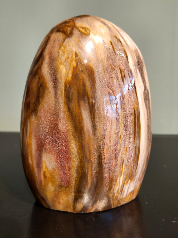 Versteend hout, 0,7kg, 11cm hoog, 21,- euro, nr. 86
Versteend hout is miljoenen jaren oud!
Chakra: wortelchakra (Muladhara)
Waar komt versteend hout vandaan en hoe ontstaan het?
Versteend hout, of gefossiliseerd hout, ontstaat wanneer een boom na zijn overlijden bedekt wordt door sediment, waardoor het langzaam omgezet wordt in steen. In plaats van te vergaan, wordt het hout geleidelijk vervangen door mineralen zoals silica. Dit proces behoudt de originele structuur van het hout, inclusief details zoals jaarringen en nerven. Het kan miljoenen jaren duren, aangezien het water dat rijk is aan mineralen de houtcellen binnendringt, terwijl zuurstof geen rol meer speelt in de afbraak.
De kleur van versteend hout is precies zoals het hout er oorspronkelijk uit zag.
Spirituele werking van versteend hout:
> stabiliteit, rust en veiligheid
Fysiek zou het positieve effecten hebben op het skelet, de botten en de rug, en kan het ondersteuning bieden bij aandoeningen zoals osteoporose en ADHD.
- Kunstgalerie Arnold -