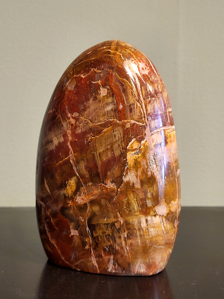 Versteend hout, 0,7 kg, 12cm hoog, 22,- euro, nr. 55
Versteend hout is miljoenen jaren oud!
Chakra: wortelchakra (Muladhara)
Waar komt versteend hout vandaan en hoe ontstaan het?
Versteend hout, of gefossiliseerd hout, ontstaat wanneer een boom na zijn overlijden bedekt wordt door sediment, waardoor het langzaam omgezet wordt in steen. In plaats van te vergaan, wordt het hout geleidelijk vervangen door mineralen zoals silica. Dit proces behoudt de originele structuur van het hout, inclusief details zoals jaarringen en nerven. Het kan miljoenen jaren duren, aangezien het water dat rijk is aan mineralen de houtcellen binnendringt, terwijl zuurstof geen rol meer speelt in de afbraak.
De kleur van versteend hout is precies zoals het hout er oorspronkelijk uit zag.
Spirituele werking van versteend hout:
> stabiliteit, rust en veiligheid
Fysiek zou het positieve effecten hebben op het skelet, de botten en de rug, en kan het ondersteuning bieden bij aandoeningen zoals osteoporose en ADHD.
- Kunstgalerie Arnold -