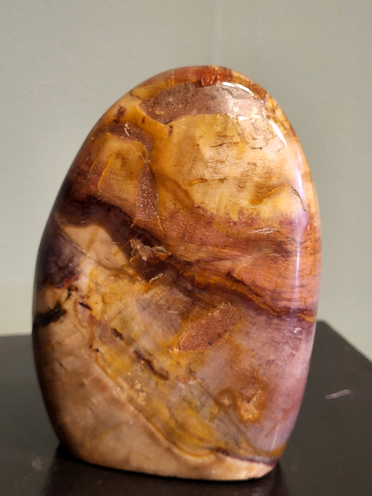 Versteend hout, 0,8 kg, 12cm hoog, 24,- euro, nr. 63
Versteend hout is miljoenen jaren oud!
Chakra: wortelchakra (Muladhara)
Waar komt versteend hout vandaan en hoe ontstaan het?
Versteend hout, of gefossiliseerd hout, ontstaat wanneer een boom na zijn overlijden bedekt wordt door sediment, waardoor het langzaam omgezet wordt in steen. In plaats van te vergaan, wordt het hout geleidelijk vervangen door mineralen zoals silica. Dit proces behoudt de originele structuur van het hout, inclusief details zoals jaarringen en nerven. Het kan miljoenen jaren duren, aangezien het water dat rijk is aan mineralen de houtcellen binnendringt, terwijl zuurstof geen rol meer speelt in de afbraak.
De kleur van versteend hout is precies zoals het hout er oorspronkelijk uit zag.
Spirituele werking van versteend hout:
> stabiliteit, rust en veiligheid
Fysiek zou het positieve effecten hebben op het skelet, de botten en de rug, en kan het ondersteuning bieden bij aandoeningen zoals osteoporose en ADHD.
- Kunstgalerie Arnold -