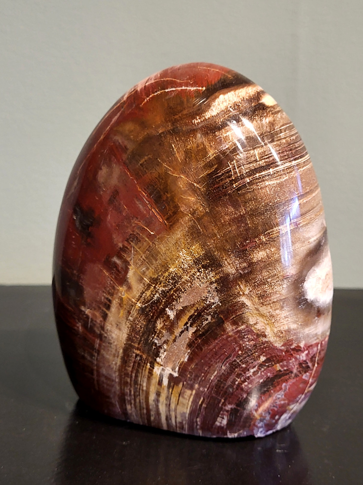 Versteend hout, 0,8 kg, 11cm hoog, 24,- euro, nr. 62
Versteend hout is miljoenen jaren oud!
Chakra: wortelchakra (Muladhara)
Waar komt versteend hout vandaan en hoe ontstaan het?
Versteend hout, of gefossiliseerd hout, ontstaat wanneer een boom na zijn overlijden bedekt wordt door sediment, waardoor het langzaam omgezet wordt in steen. In plaats van te vergaan, wordt het hout geleidelijk vervangen door mineralen zoals silica. Dit proces behoudt de originele structuur van het hout, inclusief details zoals jaarringen en nerven. Het kan miljoenen jaren duren, aangezien het water dat rijk is aan mineralen de houtcellen binnendringt, terwijl zuurstof geen rol meer speelt in de afbraak.
De kleur van versteend hout is precies zoals het hout er oorspronkelijk uit zag.
Spirituele werking van versteend hout:
> stabiliteit, rust en veiligheid
Fysiek zou het positieve effecten hebben op het skelet, de botten en de rug, en kan het ondersteuning bieden bij aandoeningen zoals osteoporose en ADHD.
- Kunstgalerie Arnold -