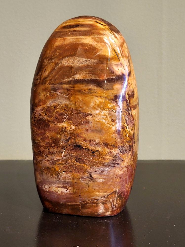 Versteend hout, 0,8 kg, 13cm hoog, 25,- euro, nr. 65
Versteend hout is miljoenen jaren oud!
Chakra: wortelchakra (Muladhara)
Waar komt versteend hout vandaan en hoe ontstaan het?
Versteend hout, of gefossiliseerd hout, ontstaat wanneer een boom na zijn overlijden bedekt wordt door sediment, waardoor het langzaam omgezet wordt in steen. In plaats van te vergaan, wordt het hout geleidelijk vervangen door mineralen zoals silica. Dit proces behoudt de originele structuur van het hout, inclusief details zoals jaarringen en nerven. Het kan miljoenen jaren duren, aangezien het water dat rijk is aan mineralen de houtcellen binnendringt, terwijl zuurstof geen rol meer speelt in de afbraak.
De kleur van versteend hout is precies zoals het hout er oorspronkelijk uit zag.
Spirituele werking van versteend hout:
> stabiliteit, rust en veiligheid
Fysiek zou het positieve effecten hebben op het skelet, de botten en de rug, en kan het ondersteuning bieden bij aandoeningen zoals osteoporose en ADHD.
- Kunstgalerie Arnold -