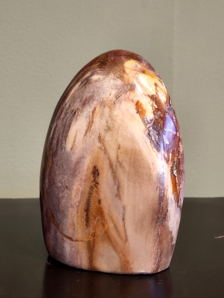 Versteend hout, 0,8 kg, 25,- euro, nr. 64
Versteend hout is miljoenen jaren oud!
Chakra: wortelchakra (Muladhara)
Waar komt versteend hout vandaan en hoe ontstaan het?
Versteend hout, of gefossiliseerd hout, ontstaat wanneer een boom na zijn overlijden bedekt wordt door sediment, waardoor het langzaam omgezet wordt in steen. In plaats van te vergaan, wordt het hout geleidelijk vervangen door mineralen zoals silica. Dit proces behoudt de originele structuur van het hout, inclusief details zoals jaarringen en nerven. Het kan miljoenen jaren duren, aangezien het water dat rijk is aan mineralen de houtcellen binnendringt, terwijl zuurstof geen rol meer speelt in de afbraak.
De kleur van versteend hout is precies zoals het hout er oorspronkelijk uit zag.
Spirituele werking van versteend hout:
> stabiliteit, rust en veiligheid
Fysiek zou het positieve effecten hebben op het skelet, de botten en de rug, en kan het ondersteuning bieden bij aandoeningen zoals osteoporose en ADHD.
- Kunstgalerie Arnold -