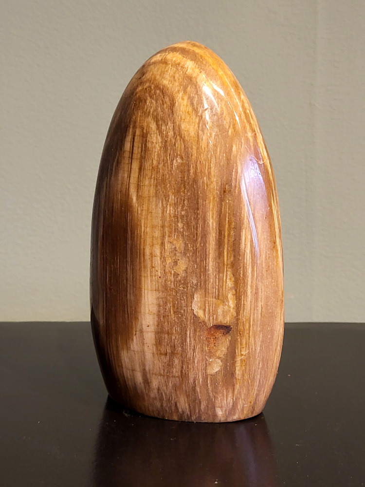 Versteend hout, 0,9 kg, 15cm hoog, 26,- euro, nr. 75
Versteend hout is miljoenen jaren oud!
Chakra: wortelchakra (Muladhara)
Waar komt versteend hout vandaan en hoe ontstaan het?
Versteend hout, of gefossiliseerd hout, ontstaat wanneer een boom na zijn overlijden bedekt wordt door sediment, waardoor het langzaam omgezet wordt in steen. In plaats van te vergaan, wordt het hout geleidelijk vervangen door mineralen zoals silica. Dit proces behoudt de originele structuur van het hout, inclusief details zoals jaarringen en nerven. Het kan miljoenen jaren duren, aangezien het water dat rijk is aan mineralen de houtcellen binnendringt, terwijl zuurstof geen rol meer speelt in de afbraak.
De kleur van versteend hout is precies zoals het hout er oorspronkelijk uit zag.
Spirituele werking van versteend hout:
> stabiliteit, rust en veiligheid
Fysiek zou het positieve effecten hebben op het skelet, de botten en de rug, en kan het ondersteuning bieden bij aandoeningen zoals osteoporose en ADHD.
- Kunstgalerie Arnold -