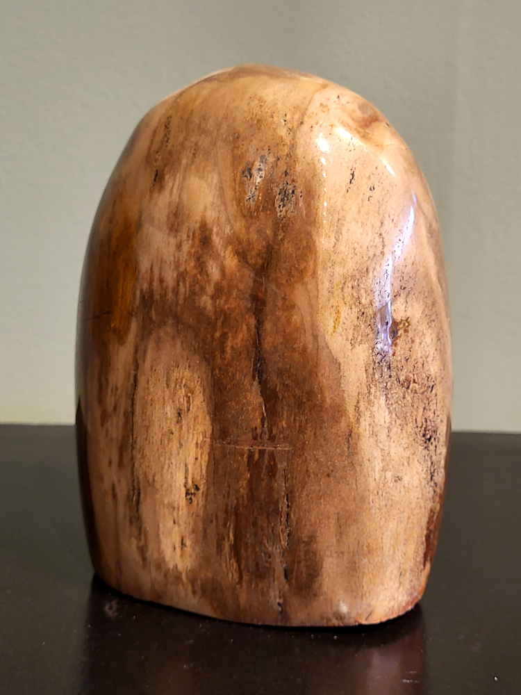 Versteend hout, 0,9 kg, 12cm hoog, 28,- euro, nr. 74
Versteend hout is miljoenen jaren oud!
Chakra: wortelchakra (Muladhara)
Waar komt versteend hout vandaan en hoe ontstaan het?
Versteend hout, of gefossiliseerd hout, ontstaat wanneer een boom na zijn overlijden bedekt wordt door sediment, waardoor het langzaam omgezet wordt in steen. In plaats van te vergaan, wordt het hout geleidelijk vervangen door mineralen zoals silica. Dit proces behoudt de originele structuur van het hout, inclusief details zoals jaarringen en nerven. Het kan miljoenen jaren duren, aangezien het water dat rijk is aan mineralen de houtcellen binnendringt, terwijl zuurstof geen rol meer speelt in de afbraak.
De kleur van versteend hout is precies zoals het hout er oorspronkelijk uit zag.
Spirituele werking van versteend hout:
> stabiliteit, rust en veiligheid
Fysiek zou het positieve effecten hebben op het skelet, de botten en de rug, en kan het ondersteuning bieden bij aandoeningen zoals osteoporose en ADHD.
- Kunstgalerie Arnold -