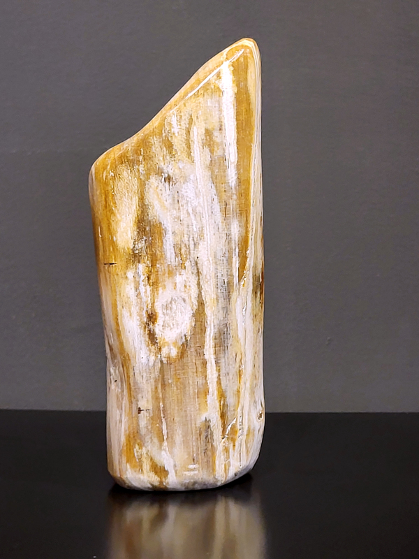 Versteend hout, 1,5 kg., 25cm hg. en 10cm br. 30,- euro, nr. 69
Versteend hout is miljoenen jaren oud!
Chakra: wortelchakra (Muladhara)
Waar komt versteend hout vandaan en hoe ontstaan het?
Versteend hout, of gefossiliseerd hout, ontstaat wanneer een boom na zijn overlijden bedekt wordt door sediment, waardoor het langzaam omgezet wordt in steen. In plaats van te vergaan, wordt het hout geleidelijk vervangen door mineralen zoals silica. Dit proces behoudt de originele structuur van het hout, inclusief details zoals jaarringen en nerven. Het kan miljoenen jaren duren, aangezien het water dat rijk is aan mineralen de houtcellen binnendringt, terwijl zuurstof geen rol meer speelt in de afbraak.
De kleur van versteend hout is precies zoals het hout er oorspronkelijk uit zag.
Spirituele werking van versteend hout: 
> stabiliteit, rust en veiligheid
Fysiek zou het positieve effecten hebben op het skelet, de botten en de rug, en kan het ondersteuning bieden bij aandoeningen zoals osteoporose en ADHD.
                                                                                        -   Kunstgalerie Arnold   -