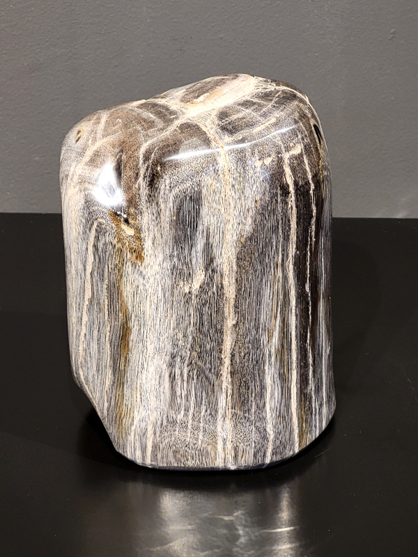 Versteend hout, 1,6 kg., 15cm hg. en 11cm br. 33,- euro, nr. 57
Versteend hout is miljoenen jaren oud!
Chakra: wortelchakra (Muladhara)
Waar komt versteend hout vandaan en hoe ontstaan het?
Versteend hout, of gefossiliseerd hout, ontstaat wanneer een boom na zijn overlijden bedekt wordt door sediment, waardoor het langzaam omgezet wordt in steen. In plaats van te vergaan, wordt het hout geleidelijk vervangen door mineralen zoals silica. Dit proces behoudt de originele structuur van het hout, inclusief details zoals jaarringen en nerven. Het kan miljoenen jaren duren, aangezien het water dat rijk is aan mineralen de houtcellen binnendringt, terwijl zuurstof geen rol meer speelt in de afbraak.
De kleur van versteend hout is precies zoals het hout er oorspronkelijk uit zag.
Spirituele werking van versteend hout: 
> stabiliteit, rust en veiligheid
Fysiek zou het positieve effecten hebben op het skelet, de botten en de rug, en kan het ondersteuning bieden bij aandoeningen zoals osteoporose en ADHD.
                                                                                        -   Kunstgalerie Arnold   -