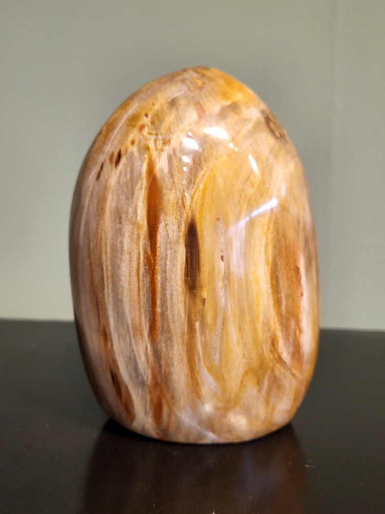 Versteend hout, 1,2kg, 13cm hoog, 36,- euro, nr. 81
Versteend hout is miljoenen jaren oud!
Chakra: wortelchakra (Muladhara)
Waar komt versteend hout vandaan en hoe ontstaan het?
Versteend hout, of gefossiliseerd hout, ontstaat wanneer een boom na zijn overlijden bedekt wordt door sediment, waardoor het langzaam omgezet wordt in steen. In plaats van te vergaan, wordt het hout geleidelijk vervangen door mineralen zoals silica. Dit proces behoudt de originele structuur van het hout, inclusief details zoals jaarringen en nerven. Het kan miljoenen jaren duren, aangezien het water dat rijk is aan mineralen de houtcellen binnendringt, terwijl zuurstof geen rol meer speelt in de afbraak.
De kleur van versteend hout is precies zoals het hout er oorspronkelijk uit zag.
Spirituele werking van versteend hout:
> stabiliteit, rust en veiligheid
Fysiek zou het positieve effecten hebben op het skelet, de botten en de rug, en kan het ondersteuning bieden bij aandoeningen zoals osteoporose en ADHD.
- Kunstgalerie Arnold -