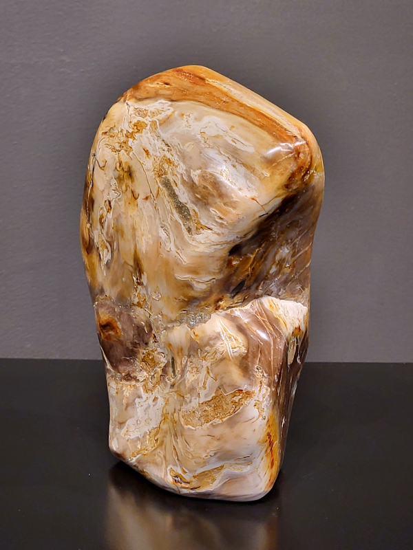 Versteend hout, 1,7 kg, 19cm hg. en 11cm br. 35,- euro, nr. 61
Versteend hout is miljoenen jaren oud!
Chakra: wortelchakra (Muladhara)
Waar komt versteend hout vandaan en hoe ontstaan het?
Versteend hout, of gefossiliseerd hout, ontstaat wanneer een boom na zijn overlijden bedekt wordt door sediment, waardoor het langzaam omgezet wordt in steen. In plaats van te vergaan, wordt het hout geleidelijk vervangen door mineralen zoals silica. Dit proces behoudt de originele structuur van het hout, inclusief details zoals jaarringen en nerven. Het kan miljoenen jaren duren, aangezien het water dat rijk is aan mineralen de houtcellen binnendringt, terwijl zuurstof geen rol meer speelt in de afbraak.
De kleur van versteend hout is precies zoals het hout er oorspronkelijk uit zag.
Spirituele werking van versteend hout: 
> stabiliteit, rust en veiligheid
Fysiek zou het positieve effecten hebben op het skelet, de botten en de rug, en kan het ondersteuning bieden bij aandoeningen zoals osteoporose en ADHD.
                                                                                        -   Kunstgalerie Arnold   -