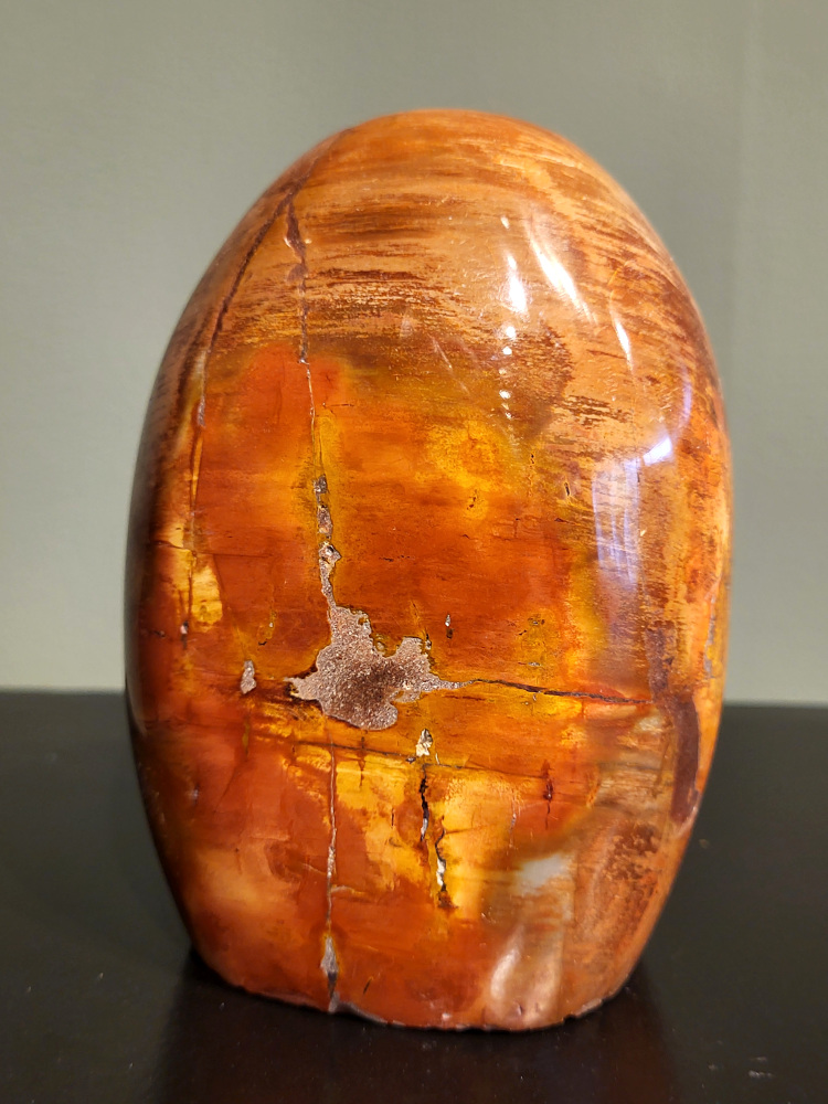 Versteend hout, 1,3kg, 13cm hoog, 39,- euro, nr. 80
Versteend hout, diverse soorten, scherp geprijsd, Kunstgalerie Arnold
Versteend hout is miljoenen jaren oud!
Chakra: wortelchakra (Muladhara)
Waar komt versteend hout vandaan en hoe ontstaan het?
Versteend hout, of gefossiliseerd hout, ontstaat wanneer een boom na zijn overlijden bedekt wordt door sediment, waardoor het langzaam omgezet wordt in steen. In plaats van te vergaan, wordt het hout geleidelijk vervangen door mineralen zoals silica. Dit proces behoudt de originele structuur van het hout, inclusief details zoals jaarringen en nerven. Het kan miljoenen jaren duren, aangezien het water dat rijk is aan mineralen de houtcellen binnendringt, terwijl zuurstof geen rol meer speelt in de afbraak.
De kleur van versteend hout is precies zoals het hout er oorspronkelijk uit zag.
Spirituele werking van versteend hout:
> stabiliteit, rust en veiligheid
Fysiek zou het positieve effecten hebben op het skelet, de botten en de rug, en kan het ondersteuning bieden bij aandoeningen zoals osteoporose en ADHD.
- Kunstgalerie Arnold -