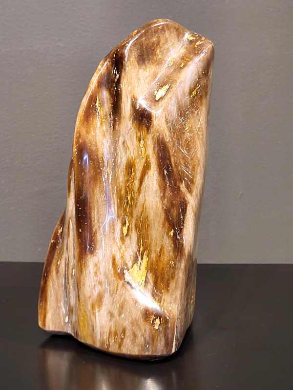 Versteend hout, 1,7kg, 18cm hg. en 10cm br. 35,- euro, nr. 58

Versteend hout is miljoenen jaren oud!
Chakra: wortelchakra (Muladhara)
Waar komt versteend hout vandaan en hoe ontstaan het?
Versteend hout, of gefossiliseerd hout, ontstaat wanneer een boom na zijn overlijden bedekt wordt door sediment, waardoor het langzaam omgezet wordt in steen. In plaats van te vergaan, wordt het hout geleidelijk vervangen door mineralen zoals silica. Dit proces behoudt de originele structuur van het hout, inclusief details zoals jaarringen en nerven. Het kan miljoenen jaren duren, aangezien het water dat rijk is aan mineralen de houtcellen binnendringt, terwijl zuurstof geen rol meer speelt in de afbraak.
De kleur van versteend hout is precies zoals het hout er oorspronkelijk uit zag.
Spirituele werking van versteend hout: 
> stabiliteit, rust en veiligheid
Fysiek zou het positieve effecten hebben op het skelet, de botten en de rug, en kan het ondersteuning bieden bij aandoeningen zoals osteoporose en ADHD.
                                                                                        -   Kunstgalerie Arnold   -