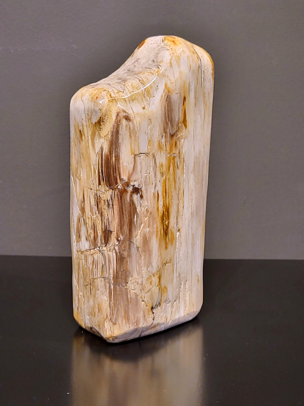 Versteend hout, 2,2 kg, 19cm hg. en 12cm br. 44,- euro, nr. 60
Versteend hout is miljoenen jaren oud!
Chakra: wortelchakra (Muladhara)
Waar komt versteend hout vandaan en hoe ontstaan het?
Versteend hout, of gefossiliseerd hout, ontstaat wanneer een boom na zijn overlijden bedekt wordt door sediment, waardoor het langzaam omgezet wordt in steen. In plaats van te vergaan, wordt het hout geleidelijk vervangen door mineralen zoals silica. Dit proces behoudt de originele structuur van het hout, inclusief details zoals jaarringen en nerven. Het kan miljoenen jaren duren, aangezien het water dat rijk is aan mineralen de houtcellen binnendringt, terwijl zuurstof geen rol meer speelt in de afbraak.
De kleur van versteend hout is precies zoals het hout er oorspronkelijk uit zag.
Spirituele werking van versteend hout: 
> stabiliteit, rust en veiligheid
Fysiek zou het positieve effecten hebben op het skelet, de botten en de rug, en kan het ondersteuning bieden bij aandoeningen zoals osteoporose en ADHD.
                                                                                        -   Kunstgalerie Arnold   -