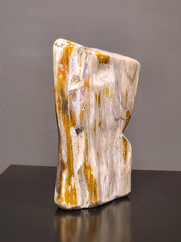 Versteend hout, 1,2 kg, 20cm hoog en 11cm breed, 23,- euro, nr. 56
Versteend hout is miljoenen jaren oud!
Chakra: wortelchakra (Muladhara)
Waar komt versteend hout vandaan en hoe ontstaan het?
Versteend hout, of gefossiliseerd hout, ontstaat wanneer een boom na zijn overlijden bedekt wordt door sediment, waardoor het langzaam omgezet wordt in steen. In plaats van te vergaan, wordt het hout geleidelijk vervangen door mineralen zoals silica. Dit proces behoudt de originele structuur van het hout, inclusief details zoals jaarringen en nerven. Het kan miljoenen jaren duren, aangezien het water dat rijk is aan mineralen de houtcellen binnendringt, terwijl zuurstof geen rol meer speelt in de afbraak.
De kleur van versteend hout is precies zoals het hout er oorspronkelijk uit zag.
Spirituele werking van versteend hout: 
> stabiliteit, rust en veiligheid
Fysiek zou het positieve effecten hebben op het skelet, de botten en de rug, en kan het ondersteuning bieden bij aandoeningen zoals osteoporose en ADHD.
                                                                                        -   Kunstgalerie Arnold   -
