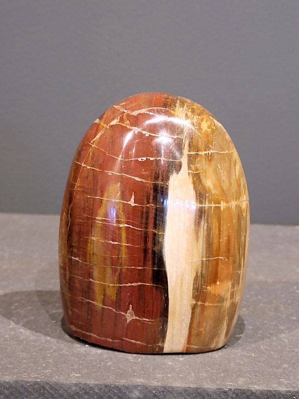 Versteend hout, 750 gram, 22,- euro, nr. 78
Versteend hout is miljoenen jaren oud!
Chakra: wortelchakra (Muladhara)
Waar komt versteend hout vandaan en hoe ontstaan het?
Versteend hout, of gefossiliseerd hout, ontstaat wanneer een boom na zijn overlijden bedekt wordt door sediment, waardoor het langzaam omgezet wordt in steen. In plaats van te vergaan, wordt het hout geleidelijk vervangen door mineralen zoals silica. Dit proces behoudt de originele structuur van het hout, inclusief details zoals jaarringen en nerven. Het kan miljoenen jaren duren, aangezien het water dat rijk is aan mineralen de houtcellen binnendringt, terwijl zuurstof geen rol meer speelt in de afbraak.
De kleur van versteend hout is precies zoals het hout er oorspronkelijk uit zag.
Spirituele werking van versteend hout: 
> stabiliteit, rust en veiligheid
Fysiek zou het positieve effecten hebben op het skelet, de botten en de rug, en kan het ondersteuning bieden bij aandoeningen zoals osteoporose en ADHD.
                                                                                        -   Kunstgalerie Arnold   -