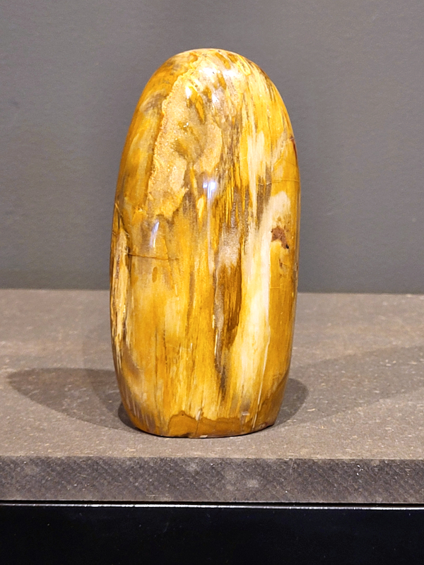 Versteend hout, 832 gram, 24,- euro.
Versteend hout is miljoenen jaren oud!
Chakra: wortelchakra (Muladhara)
Waar komt versteend hout vandaan en hoe ontstaan het?
Versteend hout, of gefossiliseerd hout, ontstaat wanneer een boom na zijn overlijden bedekt wordt door sediment, waardoor het langzaam omgezet wordt in steen. In plaats van te vergaan, wordt het hout geleidelijk vervangen door mineralen zoals silica. Dit proces behoudt de originele structuur van het hout, inclusief details zoals jaarringen en nerven. Het kan miljoenen jaren duren, aangezien het water dat rijk is aan mineralen de houtcellen binnendringt, terwijl zuurstof geen rol meer speelt in de afbraak.
De kleur van versteend hout is precies zoals het hout er oorspronkelijk uit zag.
Spirituele werking van versteend hout: 
> stabiliteit, rust en veiligheid
Fysiek zou het positieve effecten hebben op het skelet, de botten en de rug, en kan het ondersteuning bieden bij aandoeningen zoals osteoporose en ADHD.
                                                                                        -   Kunstgalerie Arnold   -