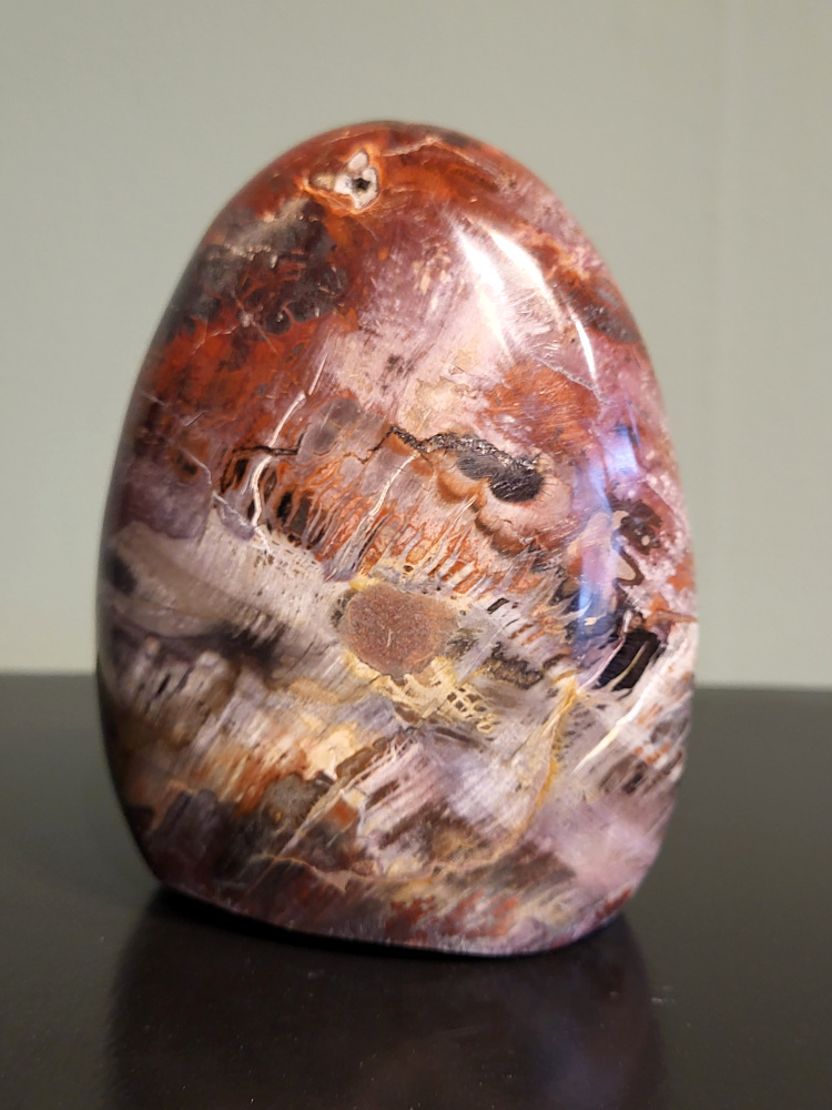 Versteend hout, 1kg, 11cm hoog, 29,- euro, nr. 79
Versteend hout is miljoenen jaren oud!
Chakra: wortelchakra (Muladhara)
Waar komt versteend hout vandaan en hoe ontstaan het?
Versteend hout, of gefossiliseerd hout, ontstaat wanneer een boom na zijn overlijden bedekt wordt door sediment, waardoor het langzaam omgezet wordt in steen. In plaats van te vergaan, wordt het hout geleidelijk vervangen door mineralen zoals silica. Dit proces behoudt de originele structuur van het hout, inclusief details zoals jaarringen en nerven. Het kan miljoenen jaren duren, aangezien het water dat rijk is aan mineralen de houtcellen binnendringt, terwijl zuurstof geen rol meer speelt in de afbraak.
De kleur van versteend hout is precies zoals het hout er oorspronkelijk uit zag.
Spirituele werking van versteend hout:
> stabiliteit, rust en veiligheid
Fysiek zou het positieve effecten hebben op het skelet, de botten en de rug, en kan het ondersteuning bieden bij aandoeningen zoals osteoporose en ADHD.
- Kunstgalerie Arnold -