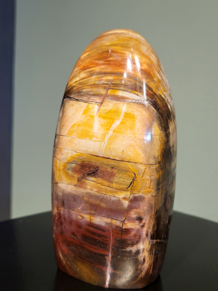 Versteend hout, 1kg, 15cm hoog, 30,- euro, nr. 49
Versteend hout, diverse soorten, scherp geprijsd, Kunstgalerie Arnold
Versteend hout is miljoenen jaren oud!
Chakra: wortelchakra (Muladhara)
Waar komt versteend hout vandaan en hoe ontstaan het?
Versteend hout, of gefossiliseerd hout, ontstaat wanneer een boom na zijn overlijden bedekt wordt door sediment, waardoor het langzaam omgezet wordt in steen. In plaats van te vergaan, wordt het hout geleidelijk vervangen door mineralen zoals silica. Dit proces behoudt de originele structuur van het hout, inclusief details zoals jaarringen en nerven. Het kan miljoenen jaren duren, aangezien het water dat rijk is aan mineralen de houtcellen binnendringt, terwijl zuurstof geen rol meer speelt in de afbraak.
De kleur van versteend hout is precies zoals het hout er oorspronkelijk uit zag.
Spirituele werking van versteend hout:
> stabiliteit, rust en veiligheid
Fysiek zou het positieve effecten hebben op het skelet, de botten en de rug, en kan het ondersteuning bieden bij aandoeningen zoals osteoporose en ADHD.
- Kunstgalerie Arnold -