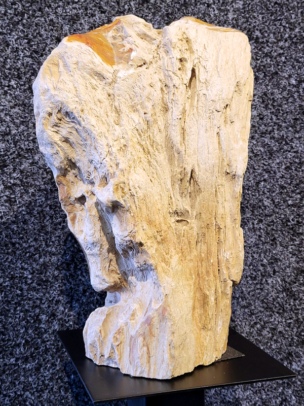 Versteend hout stammen, Banta Indonesië, 23,1kg, 195,- euro, no. 8
Versteend hout
Chakra: wortelchakra (Muladhara)
Versteend hout is miljoenen jaren oud!
Waar komt versteend hout vandaan en hoe ontstaan het?
Versteend hout, of gefossiliseerd hout, ontstaat wanneer een boom na zijn overlijden bedekt wordt door sediment, waardoor het langzaam omgezet wordt in steen. In plaats van te vergaan, wordt het hout geleidelijk vervangen door mineralen zoals silica. Dit proces behoudt de originele structuur van het hout, inclusief details zoals jaarringen en nerven. Het kan miljoenen jaren duren, aangezien het water dat rijk is aan mineralen de houtcellen binnendringt, terwijl zuurstof geen rol meer speelt in de afbraak.
De kleur van versteend hout is precies zoals het hout er oorspronkelijk uit zag.
Waar kan versteend hout niet goed tegen?
Het is bestand tegen de meeste elementen, maar kan niet goed tegen langdurige blootstelling aan fel zonlicht, extreme temperatuurwisselingen en scherpe voorwerpen die krassen kunnen veroorzaken.
Spirituele werking van versteend hout:
> stabiliteit, rust en veiligheid
Fysiek zou het positieve effecten hebben op het skelet, de botten en de rug, en kan het ondersteuning bieden bij aandoeningen zoals osteoporose en ADHD.
Hoe opladen?
Je kunt versteend hout, als het volle maan is, ‘s nachts in het maanlicht leggen, bij een bergkristal of andere stenen leggen of reinigen met saliehout/palo santo.

- Kunstgalerie Arnold -