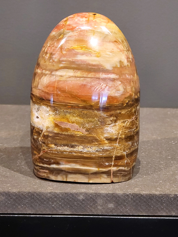 Versteend hout, 854 gram, 25,- euro.
Versteend hout is miljoenen jaren oud!
Chakra: wortelchakra (Muladhara)
Waar komt versteend hout vandaan en hoe ontstaan het?
Versteend hout, of gefossiliseerd hout, ontstaat wanneer een boom na zijn overlijden bedekt wordt door sediment, waardoor het langzaam omgezet wordt in steen. In plaats van te vergaan, wordt het hout geleidelijk vervangen door mineralen zoals silica. Dit proces behoudt de originele structuur van het hout, inclusief details zoals jaarringen en nerven. Het kan miljoenen jaren duren, aangezien het water dat rijk is aan mineralen de houtcellen binnendringt, terwijl zuurstof geen rol meer speelt in de afbraak.
De kleur van versteend hout is precies zoals het hout er oorspronkelijk uit zag.
Spirituele werking van versteend hout: 
> stabiliteit, rust en veiligheid
Fysiek zou het positieve effecten hebben op het skelet, de botten en de rug, en kan het ondersteuning bieden bij aandoeningen zoals osteoporose en ADHD.
                                                                                        -   Kunstgalerie Arnold   -