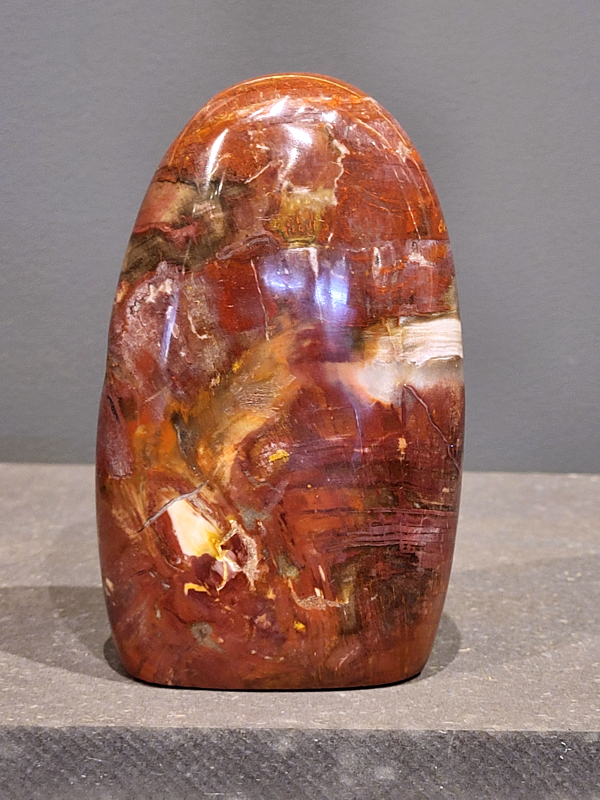 Versteend hout, 910 gram, 27,- euro.

Versteend hout is miljoenen jaren oud!
Chakra: wortelchakra (Muladhara)
Waar komt versteend hout vandaan en hoe ontstaan het?
Versteend hout, of gefossiliseerd hout, ontstaat wanneer een boom na zijn overlijden bedekt wordt door sediment, waardoor het langzaam omgezet wordt in steen. In plaats van te vergaan, wordt het hout geleidelijk vervangen door mineralen zoals silica. Dit proces behoudt de originele structuur van het hout, inclusief details zoals jaarringen en nerven. Het kan miljoenen jaren duren, aangezien het water dat rijk is aan mineralen de houtcellen binnendringt, terwijl zuurstof geen rol meer speelt in de afbraak.
De kleur van versteend hout is precies zoals het hout er oorspronkelijk uit zag.
Spirituele werking van versteend hout: 
> stabiliteit, rust en veiligheid
Fysiek zou het positieve effecten hebben op het skelet, de botten en de rug, en kan het ondersteuning bieden bij aandoeningen zoals osteoporose en ADHD.
                                                                                        -   Kunstgalerie Arnold   -