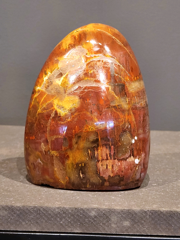 Versteend hout, 976gram, 28,- euro.
Versteend hout is miljoenen jaren oud!
Chakra: wortelchakra (Muladhara)
Waar komt versteend hout vandaan en hoe ontstaan het?
Versteend hout, of gefossiliseerd hout, ontstaat wanneer een boom na zijn overlijden bedekt wordt door sediment, waardoor het langzaam omgezet wordt in steen. In plaats van te vergaan, wordt het hout geleidelijk vervangen door mineralen zoals silica. Dit proces behoudt de originele structuur van het hout, inclusief details zoals jaarringen en nerven. Het kan miljoenen jaren duren, aangezien het water dat rijk is aan mineralen de houtcellen binnendringt, terwijl zuurstof geen rol meer speelt in de afbraak.
De kleur van versteend hout is precies zoals het hout er oorspronkelijk uit zag.
Spirituele werking van versteend hout: 
> stabiliteit, rust en veiligheid
Fysiek zou het positieve effecten hebben op het skelet, de botten en de rug, en kan het ondersteuning bieden bij aandoeningen zoals osteoporose en ADHD.
                                                                                        -   Kunstgalerie Arnold   -