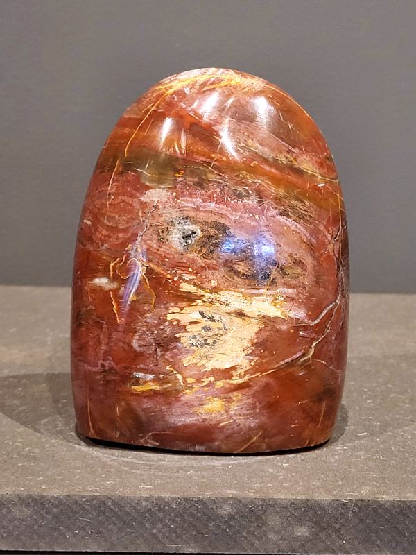 Versteend hout, 1016 gram, 30,- euro.
Versteend hout is miljoenen jaren oud!
Chakra: wortelchakra (Muladhara)
Waar komt versteend hout vandaan en hoe ontstaan het?
Versteend hout, of gefossiliseerd hout, ontstaat wanneer een boom na zijn overlijden bedekt wordt door sediment, waardoor het langzaam omgezet wordt in steen. In plaats van te vergaan, wordt het hout geleidelijk vervangen door mineralen zoals silica. Dit proces behoudt de originele structuur van het hout, inclusief details zoals jaarringen en nerven. Het kan miljoenen jaren duren, aangezien het water dat rijk is aan mineralen de houtcellen binnendringt, terwijl zuurstof geen rol meer speelt in de afbraak.
De kleur van versteend hout is precies zoals het hout er oorspronkelijk uit zag.
Spirituele werking van versteend hout: 
> stabiliteit, rust en veiligheid
Fysiek zou het positieve effecten hebben op het skelet, de botten en de rug, en kan het ondersteuning bieden bij aandoeningen zoals osteoporose en ADHD.
                                                                                        -   Kunstgalerie Arnold   -
